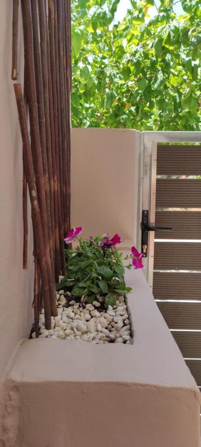 New Apartment 1.5Km From The City Center Of Chania ハニア エクステリア 写真